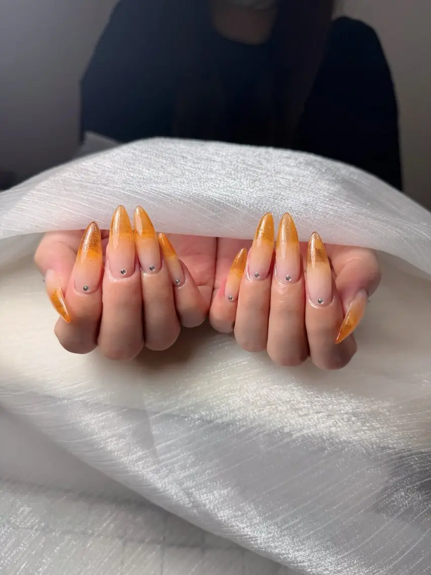 ネイル チークネイル フレンチネイル グラデーション 韓国ネイル マグネットネイル ハンドネイル Hana Nailのネイルデザイン