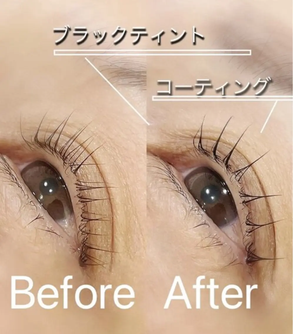 ブラックティントマツパ(パリジェンヌ)の写真