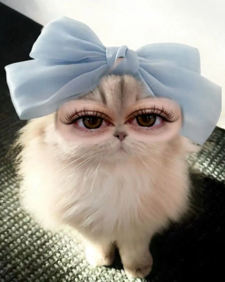 マツエク・マツパ マツパ あんどう りお 堺東のマツエク・マツパデザイン