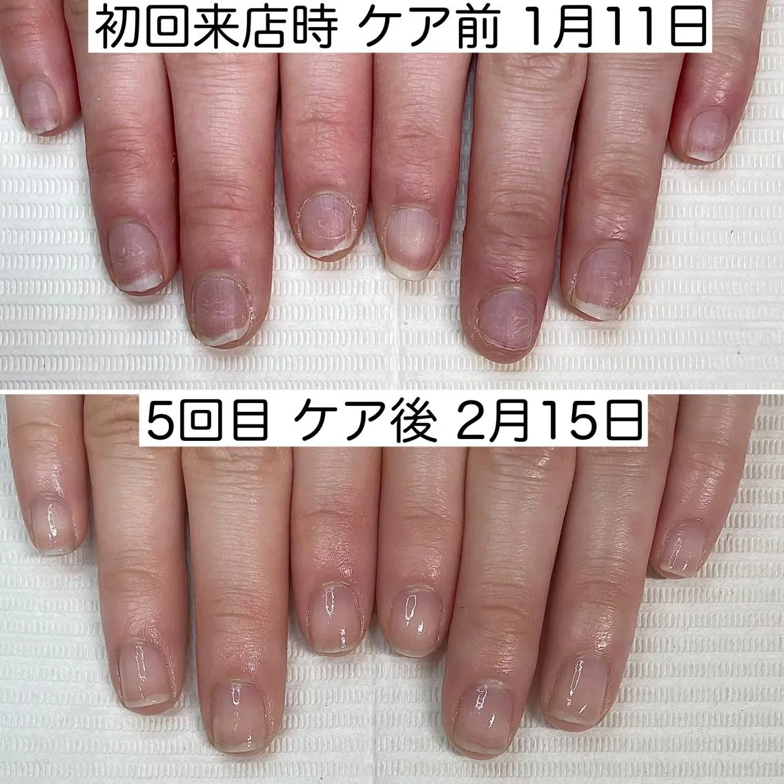 ネイル オーロラネイル カジュアル ジェルネイル マグネットネイル ニュアンスネイル ショートネイル専門店 noaのネイルデザイン