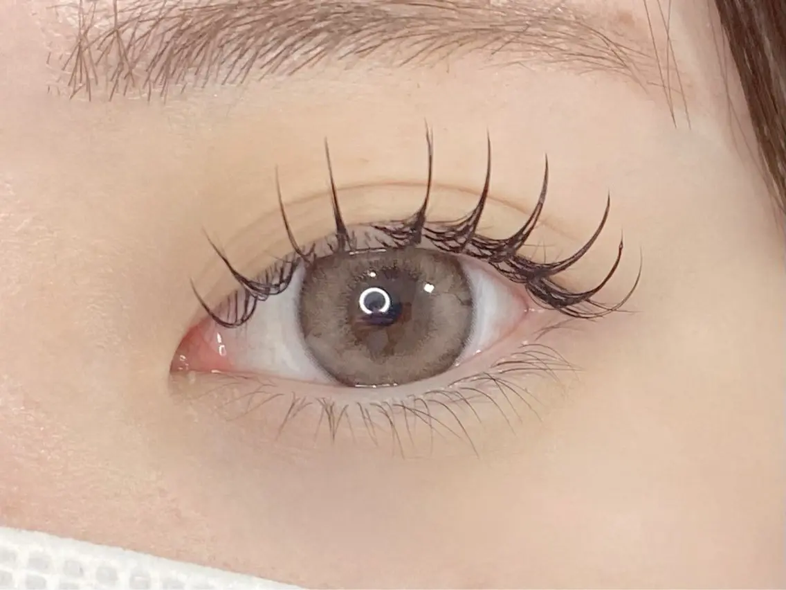 スピードコース💫LEDフラットラッシュ40本 オフなしのみの写真