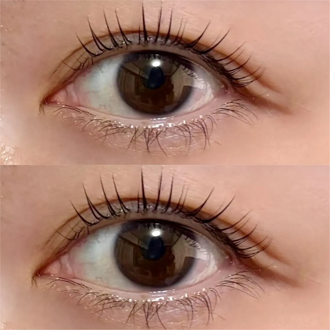 マツエク・マツパ 一重×まつ毛パーマ マツパ Lash A 🕊️のマツエク・マツパデザイン