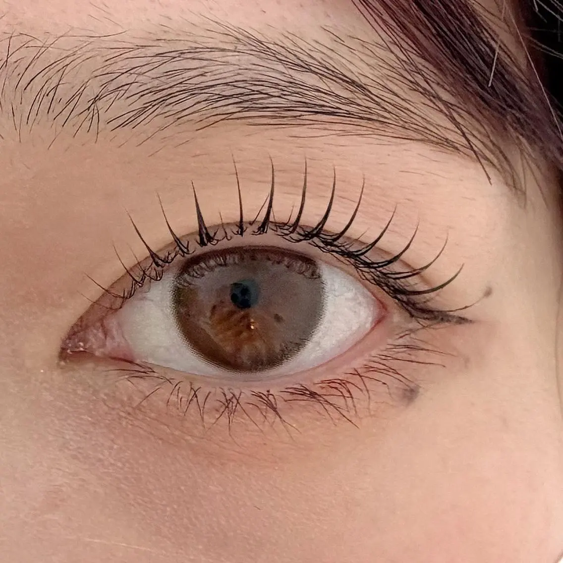 今週割💫 Lash lift上🫧 ¥7,700→¥3,000束感コーティング※写真撮影必須の写真