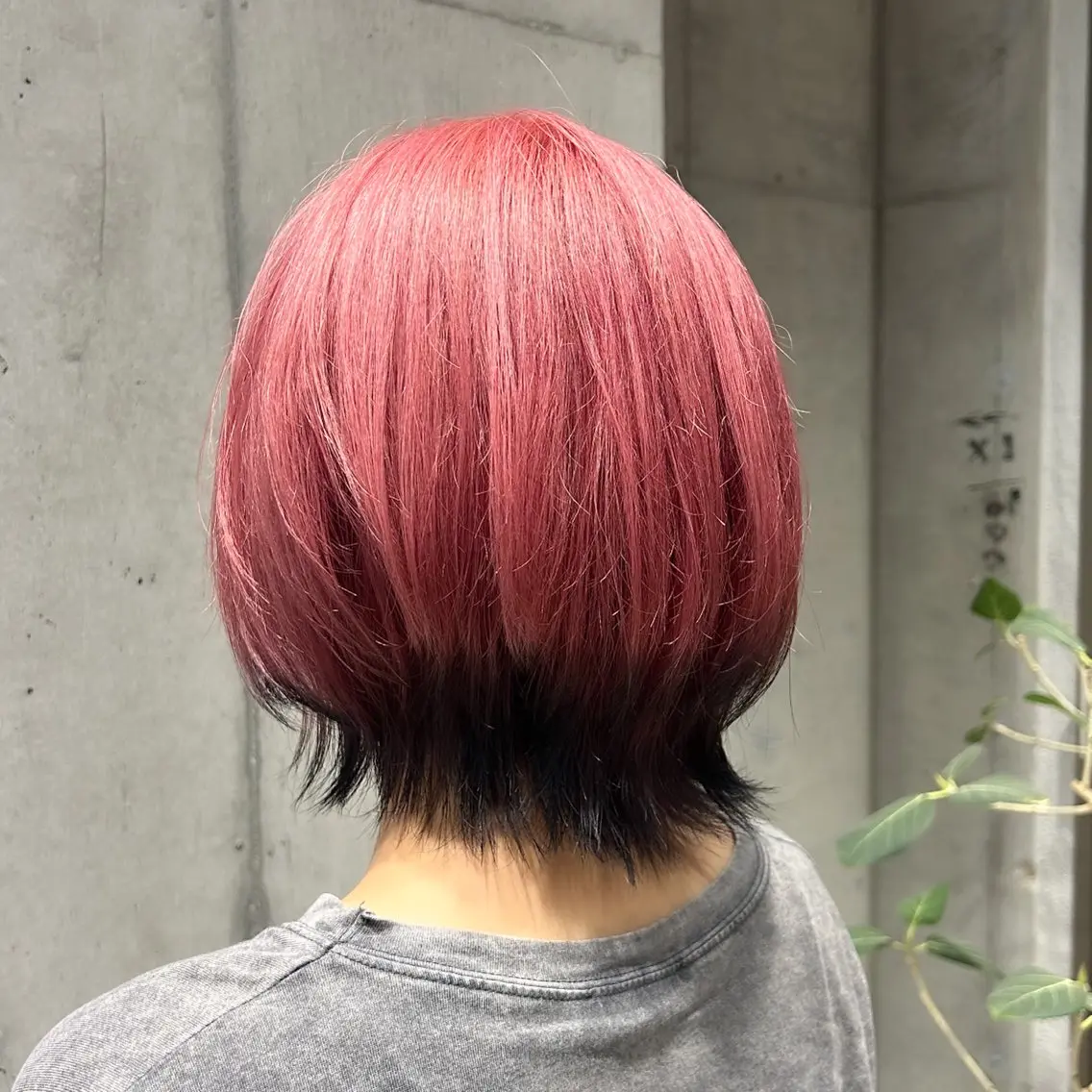 ミディアム カラー ヘアカラー トリートメント 🍎暖色ウルフ 🍎みさきのヘアスタイル