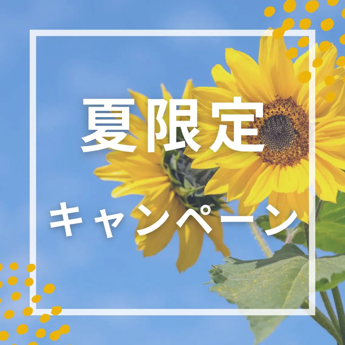脱毛 脱毛&フェイシャル/ Rappore;増田のエステ・リラクイメージ