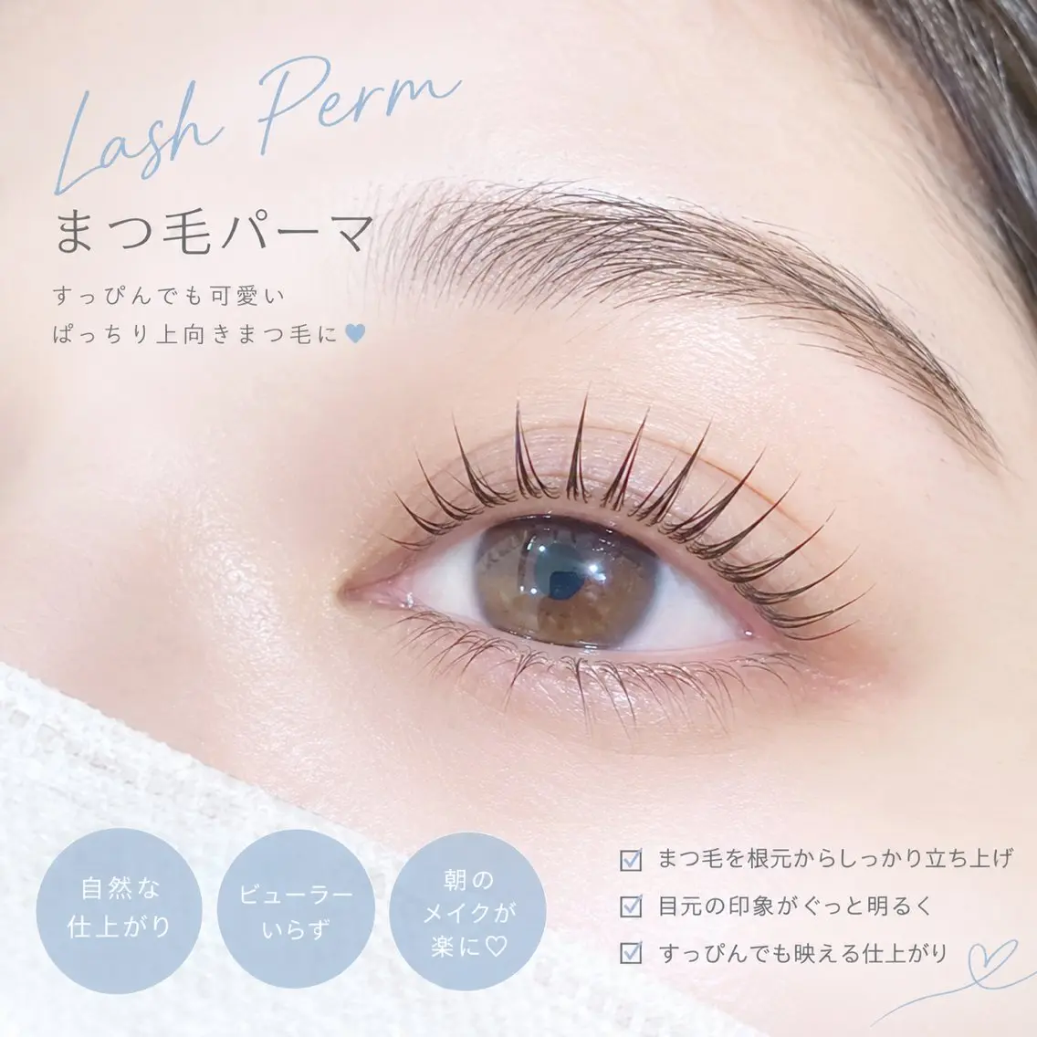 【1日2名様限定】まつ毛パーマ👁️🪄の写真