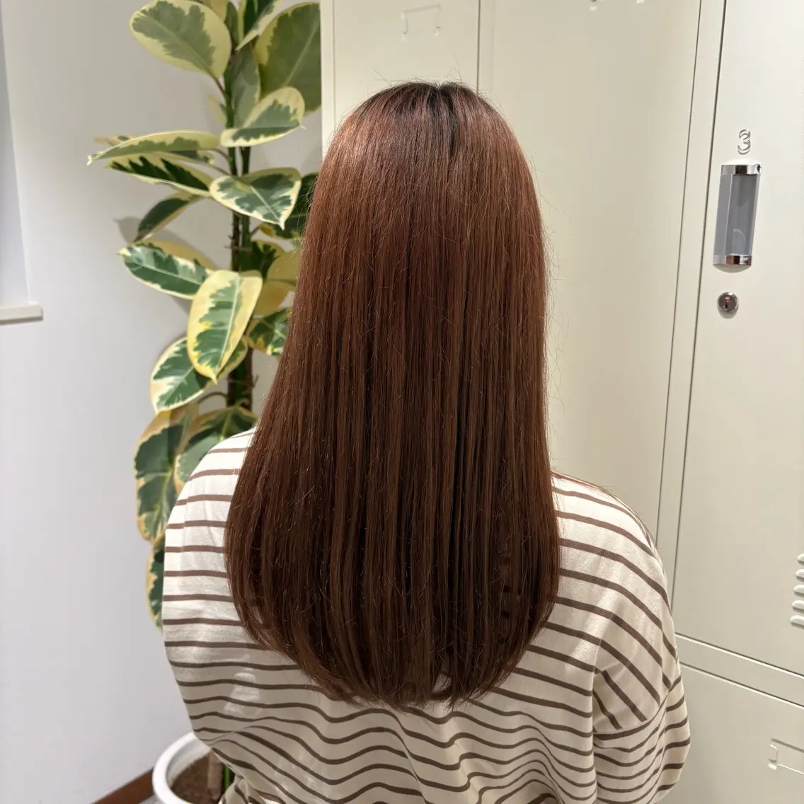 藤波 愛佳のヘアスタイル