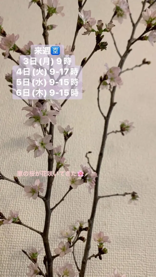清水 由希のエステ・リラクイメージ
