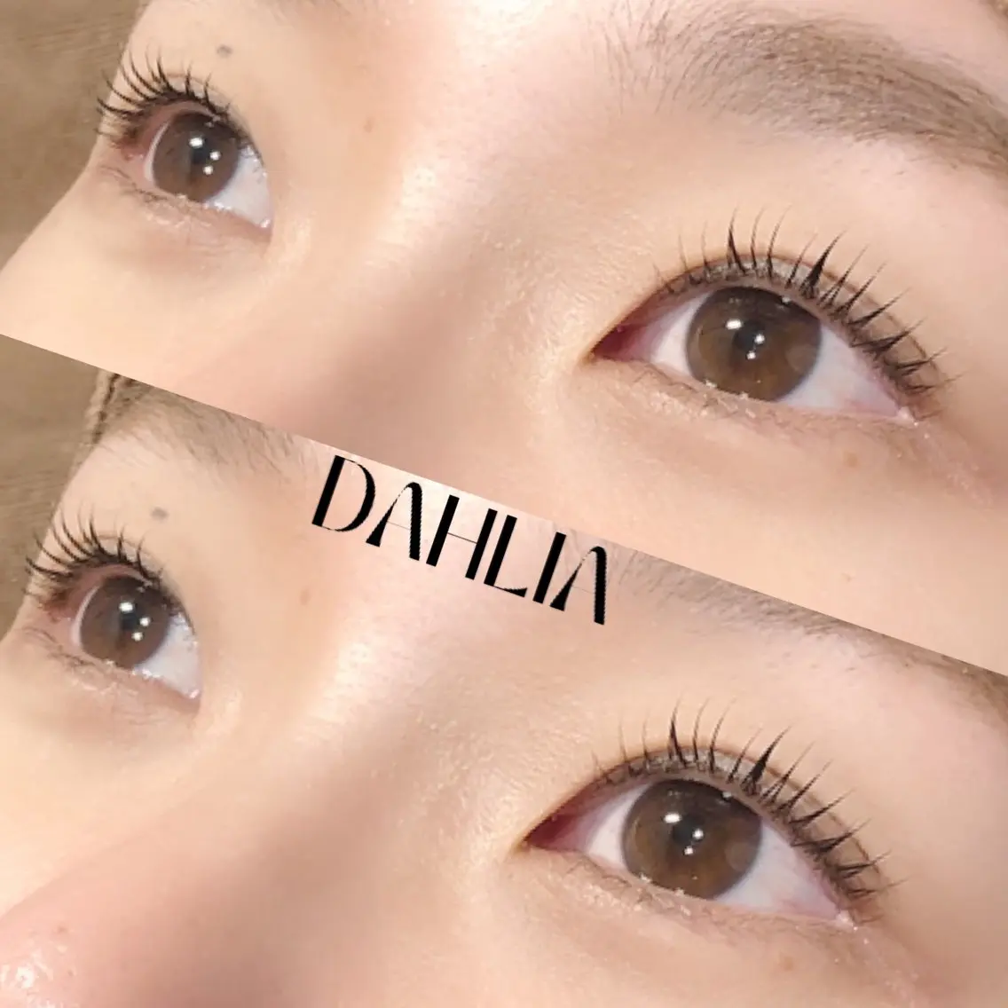 マツエク・マツパ まつげパーマ Dahliaダリア 斉藤のマツエク・マツパデザイン