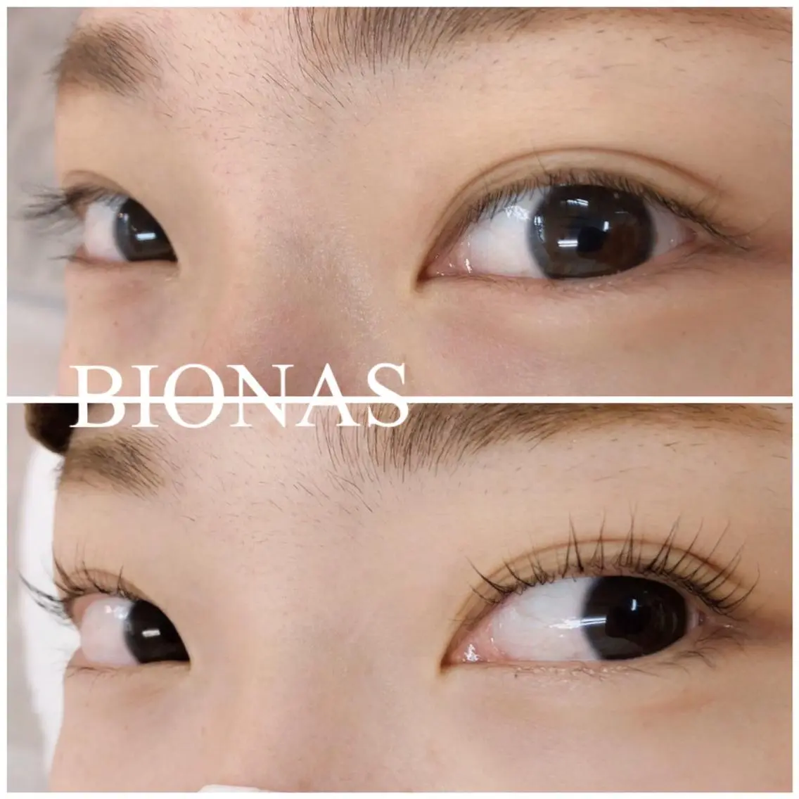 マツエク・マツパ パリジェンヌラッシュリフト BIONAS 【ビオナス】の眉毛・アイブロウイメージ