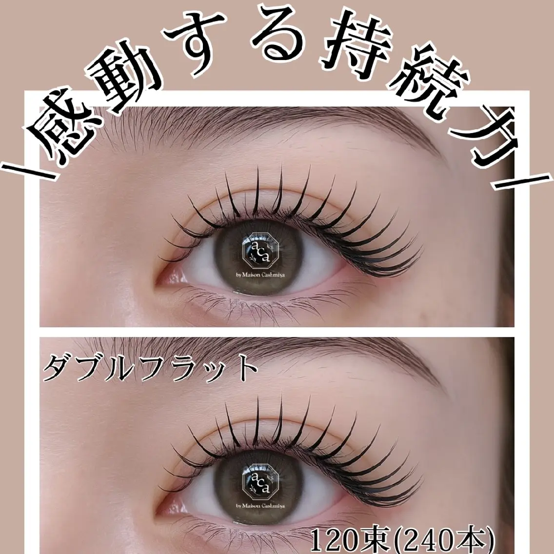【何度でも同価格】ダブルフラットラッシュ80束160本【より高持続を求める方】の写真