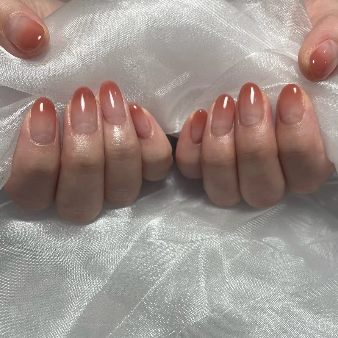 🌷オフ込み🌷グラデーションの写真