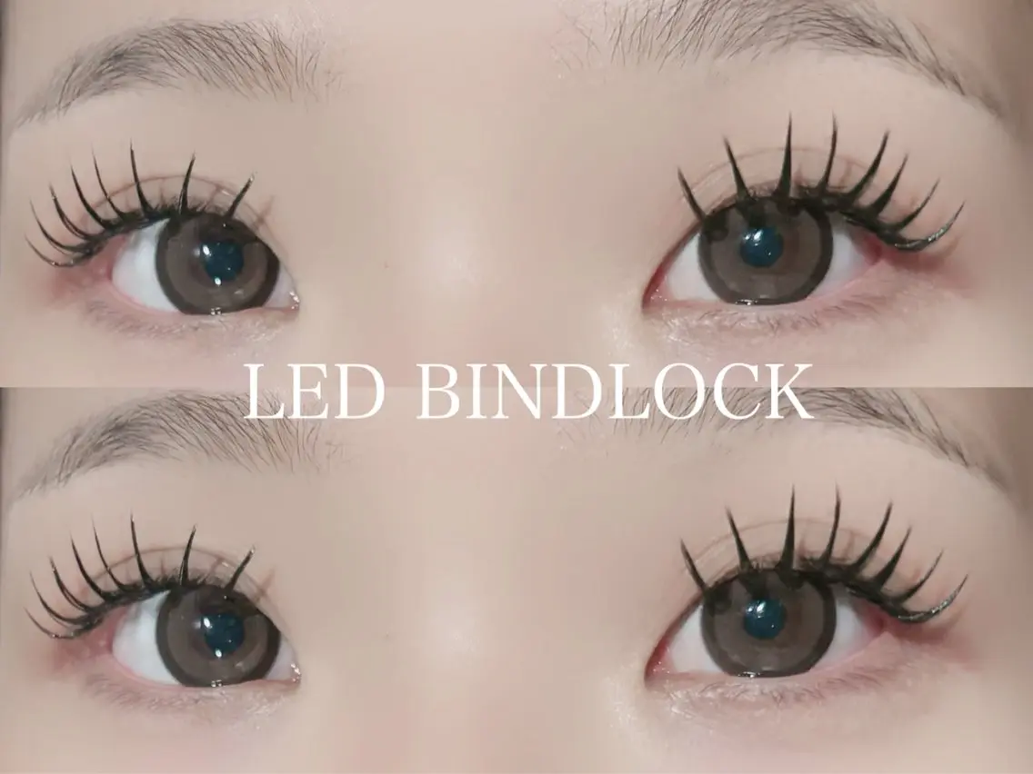 バインドロック80束🎀の写真
