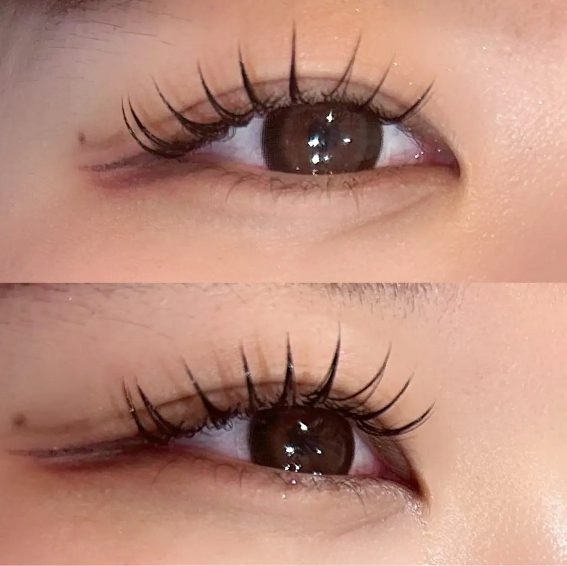 🌷濃さ&持続！オフあり！バインドロック80束🌷の写真