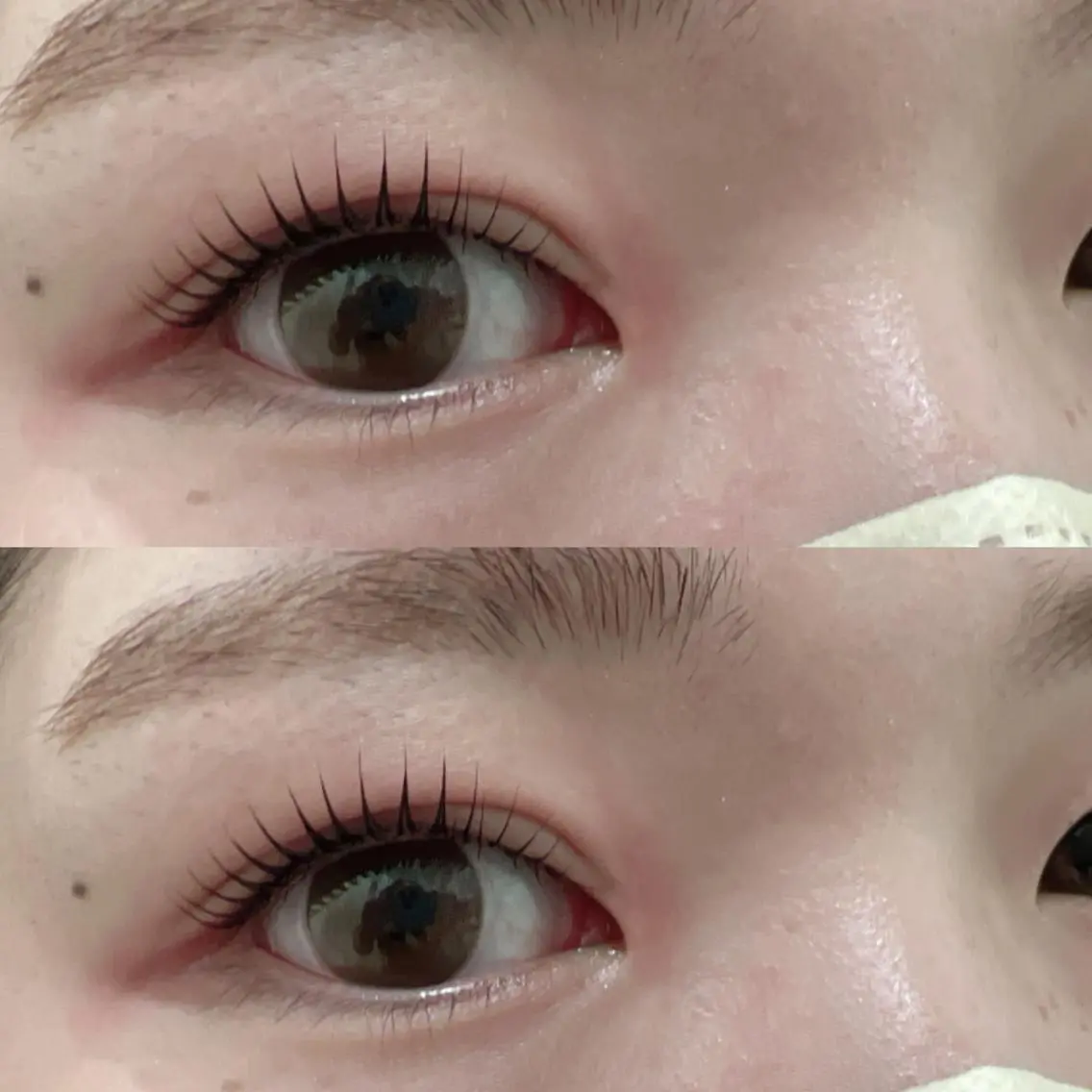 マツエク・マツパ マツパ Bunny eyes NEWOTANI博多の眉毛・アイブロウイメージ