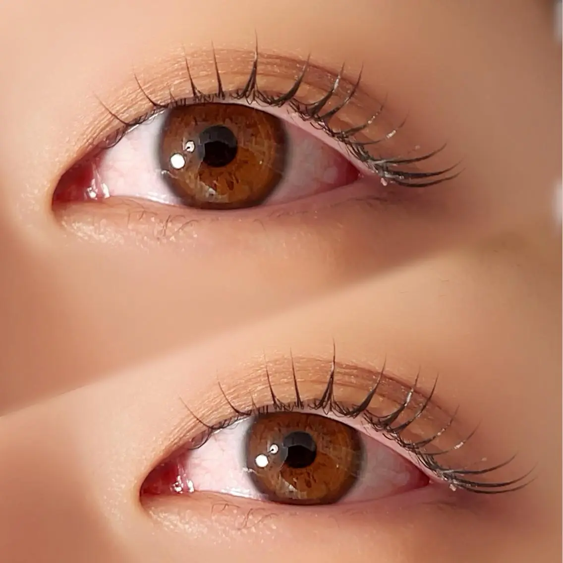 マツエク・マツパ マツパ lieu pré eyelashの眉毛・アイブロウイメージ
