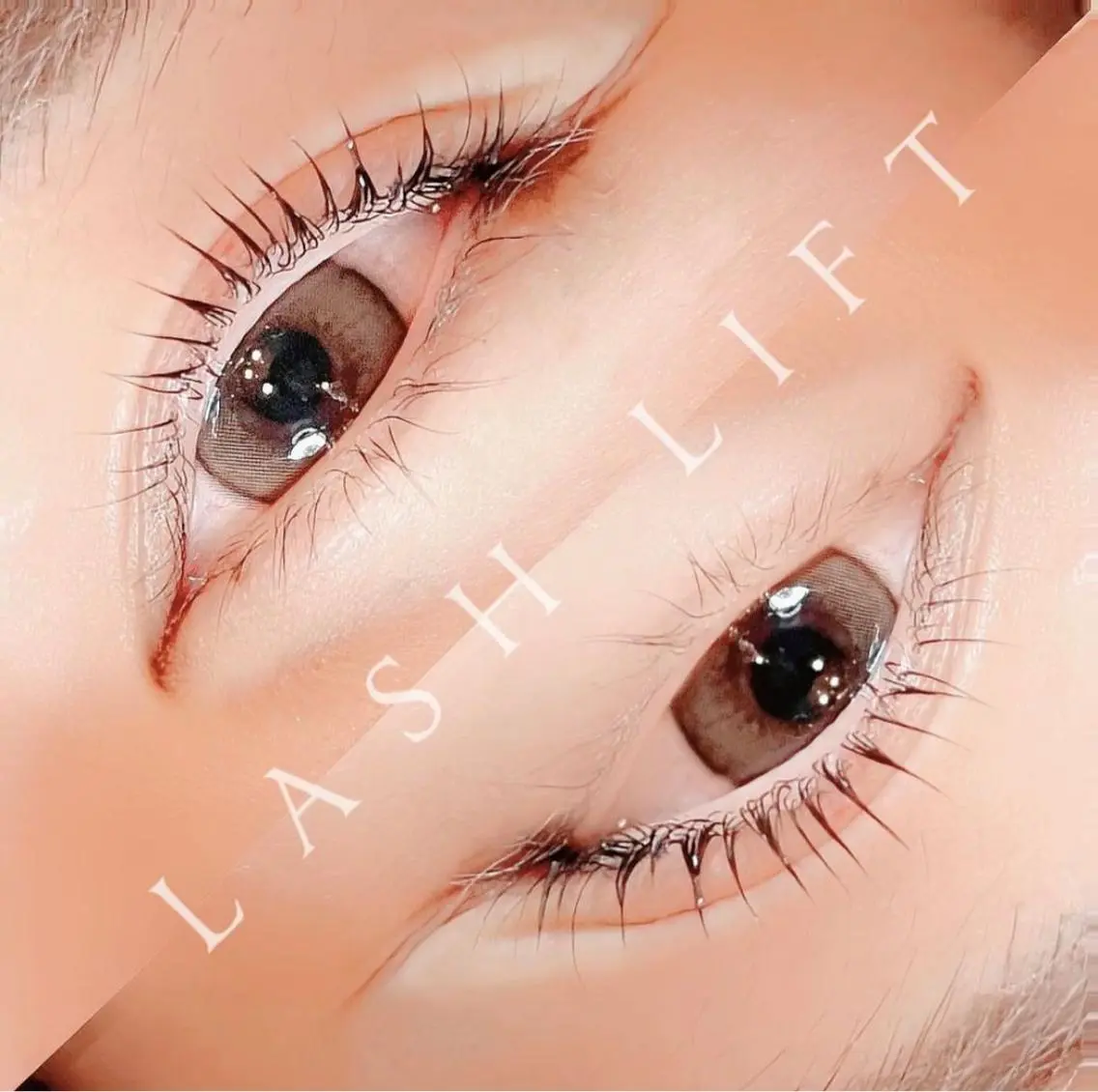 《今だけ特別価格》🧡ご新規様のみ🧡パリジェンヌラッシュリフト🦋6600円→4950円🧡の写真