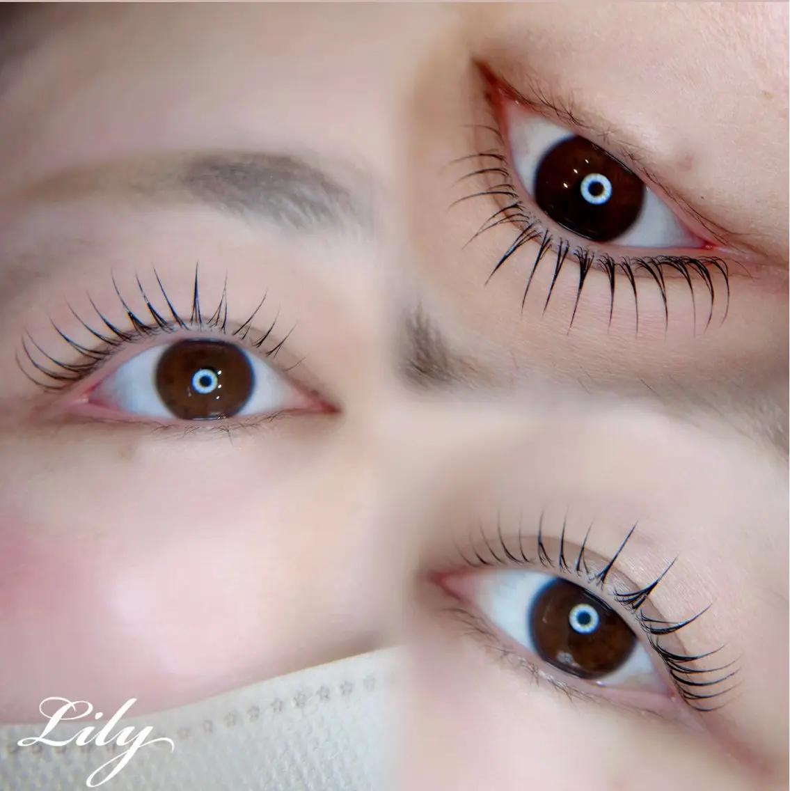 マツエク・マツパ Lily まつ毛専門店のマツエク・マツパデザイン