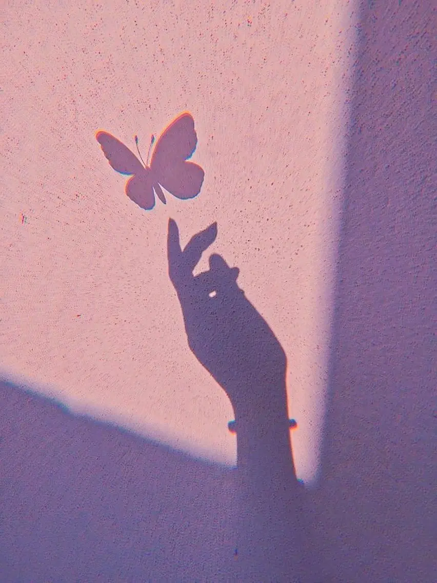 SSINSTUDIO 𝑴𝒊𝒉𝒐🦋のその他イメージ
