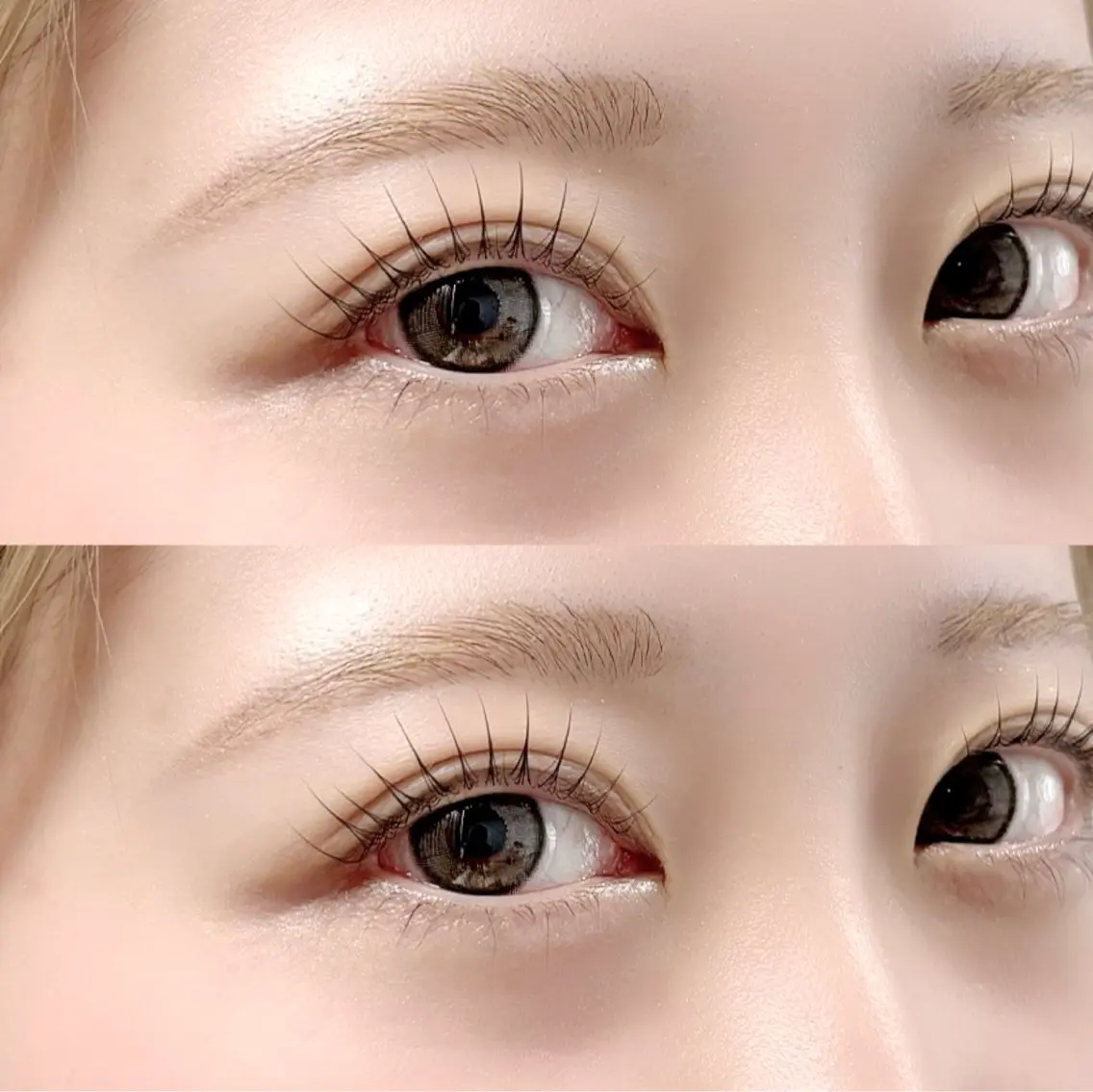マツエク・マツパ eyelash "Koa"🕊🤎のマツエク・マツパデザイン
