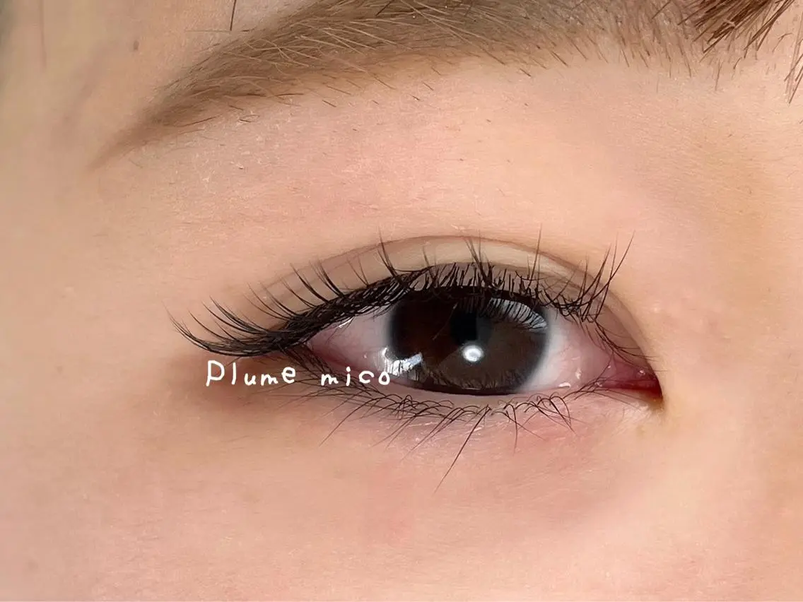 マツエク・マツパ マツエク Plume micoのマツエク・マツパデザイン