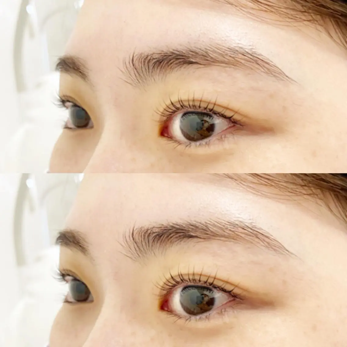 マツエク・マツパ ナチュラル Bunny eyes NEWOTANI博多の眉毛・アイブロウイメージ