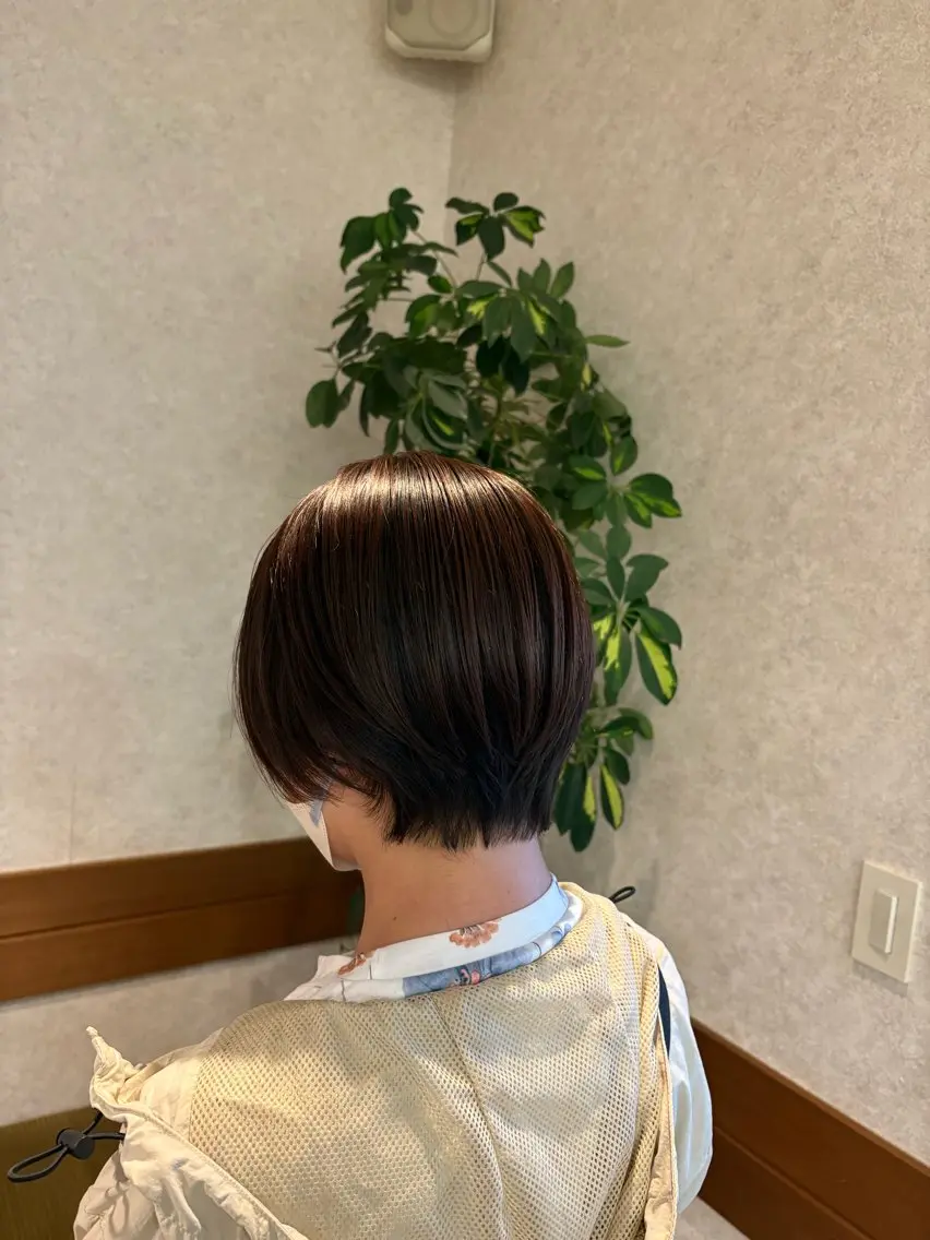 カット+シャンプーブローの写真
