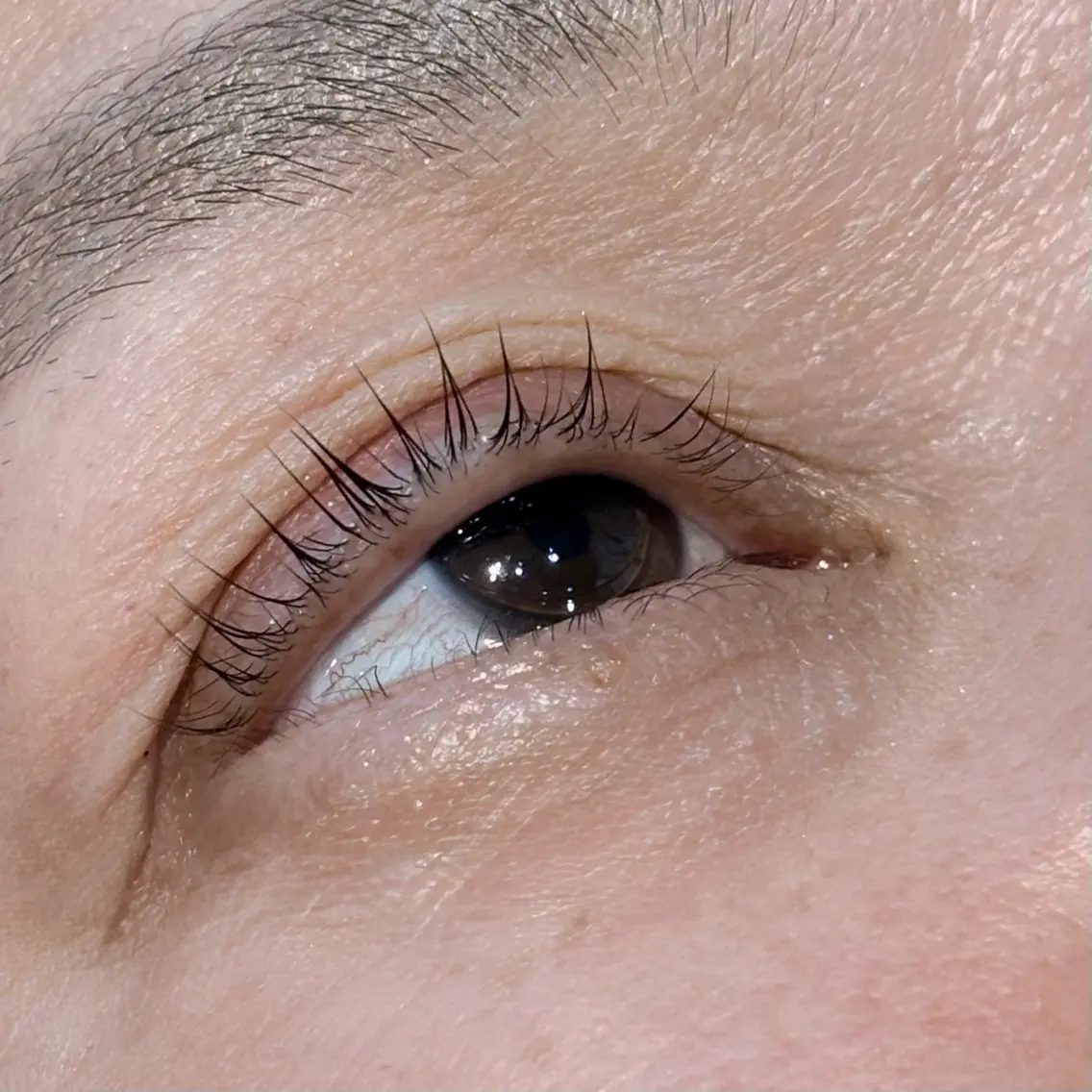 マツエク・マツパ 一重×まつ毛パーマ マツパ HAILEY eye salonのマツエク・マツパデザイン