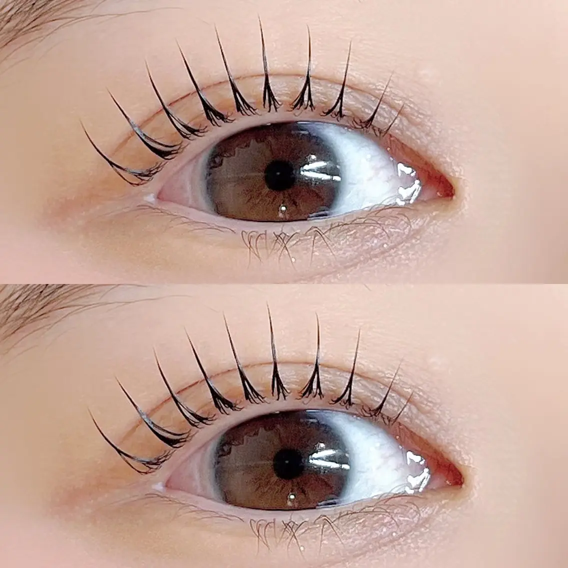 マツエク・マツパ パリジェンヌラッシュリフト マツパ Pupu lash  𓃱𓂃のその他イメージ