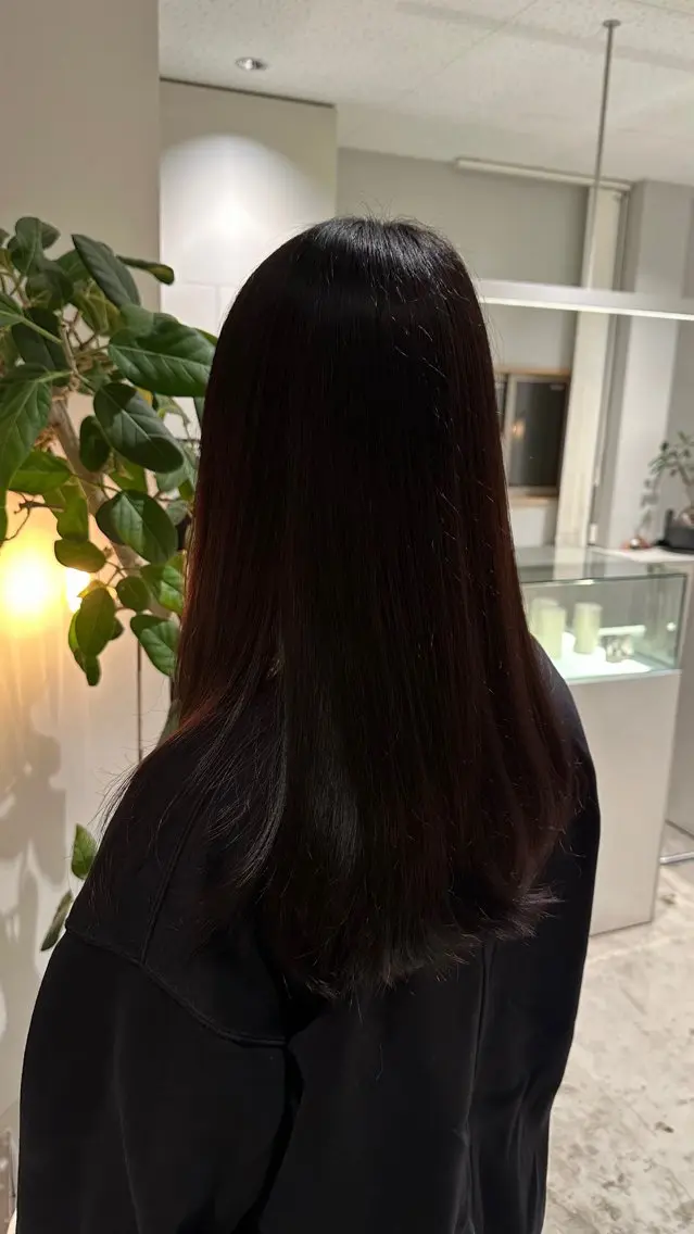 ロング カラー 黒髪 ブラウンカラー ヘアカラー 颯人⁑艶カラー/ 透明感カラーのヘアスタイル