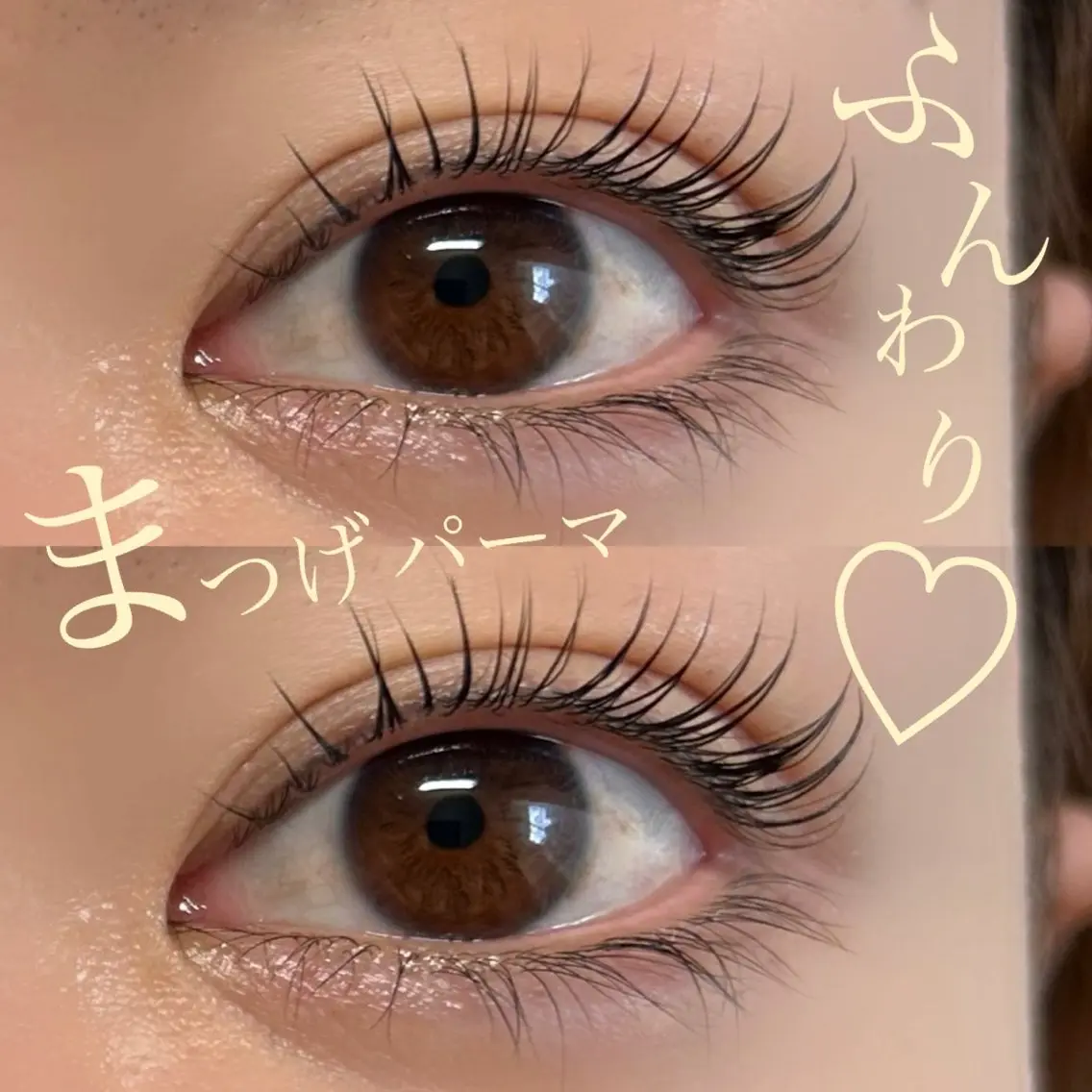 💛上ふんわりまつ毛パーマ💛トップアイリスト担当(パリジェンヌ変更可能)上下パーマの方はメッセージください♪の写真