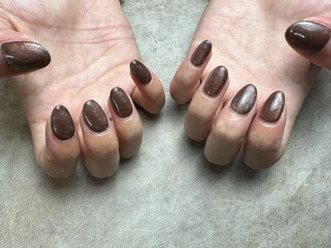ネイル ブラウン マグネットネイル nailroom Anmie.のネイルデザイン