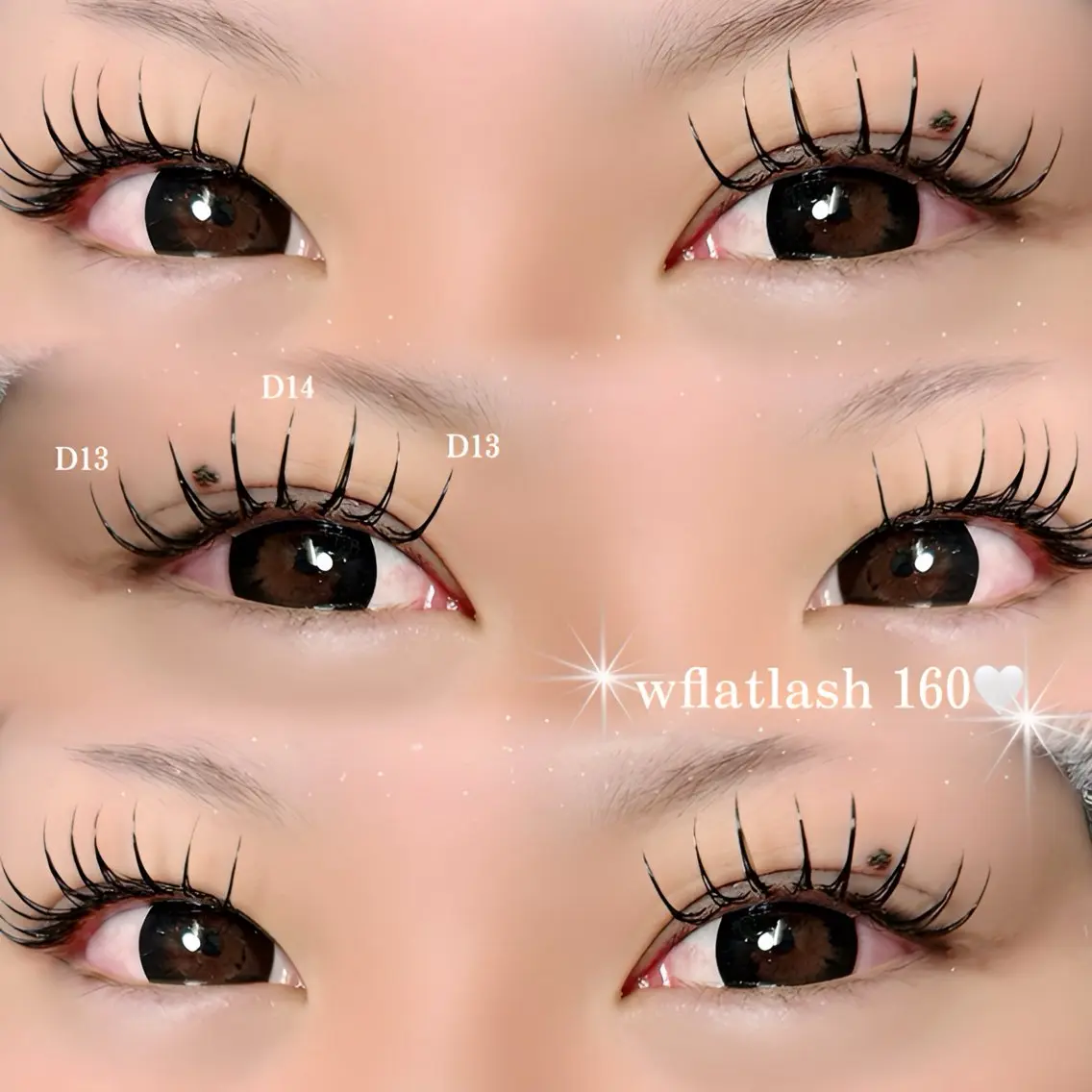 🐩wflatlash 160束🐩オフ込み/他店オフ500円/コーティング込みの写真