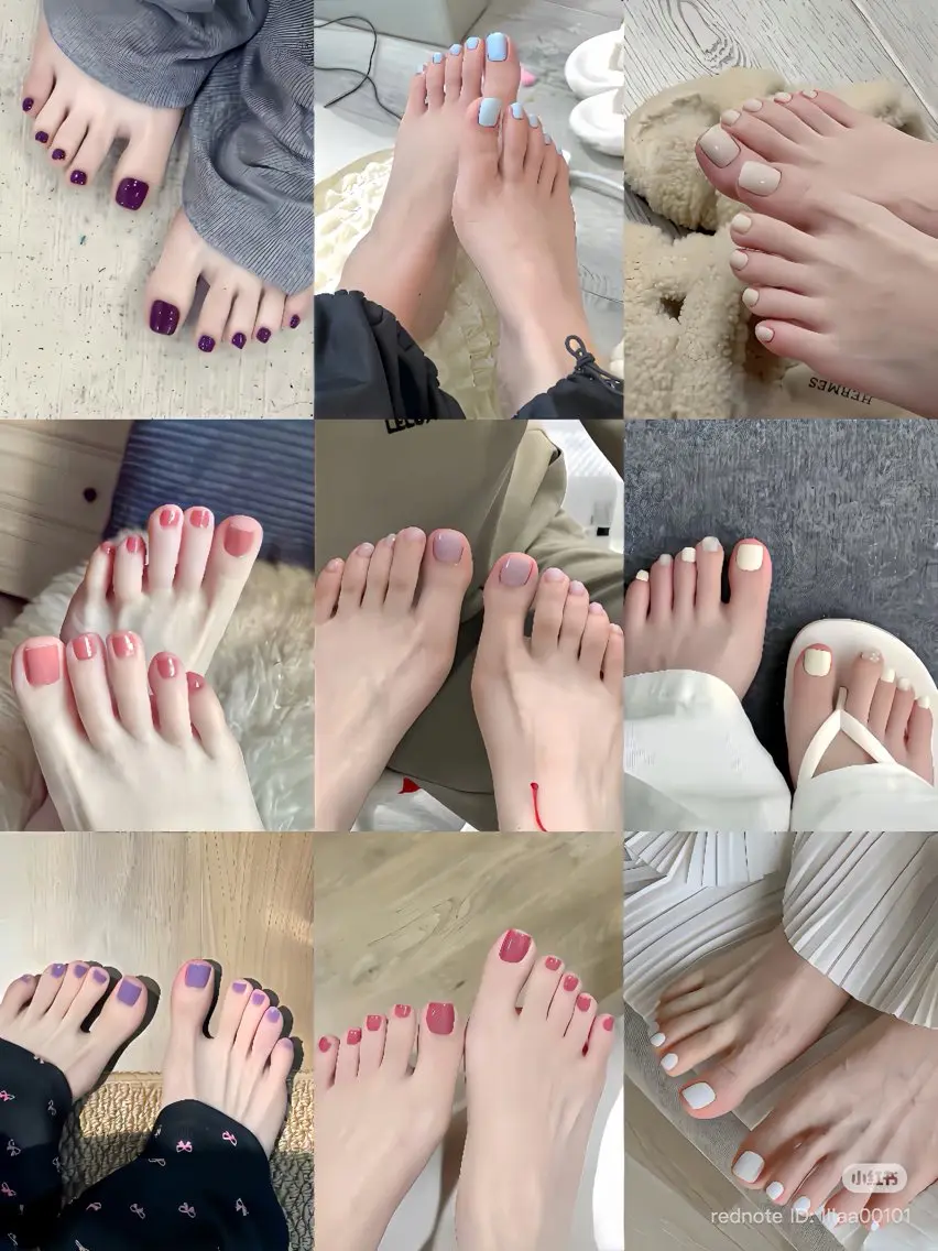 【ワンカラー】の写真