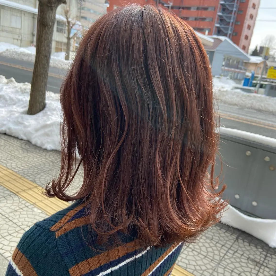 ミディアム カラー カット ヘアカラー 💜推しインナー カラー/菊池柊真💜のヘアスタイル