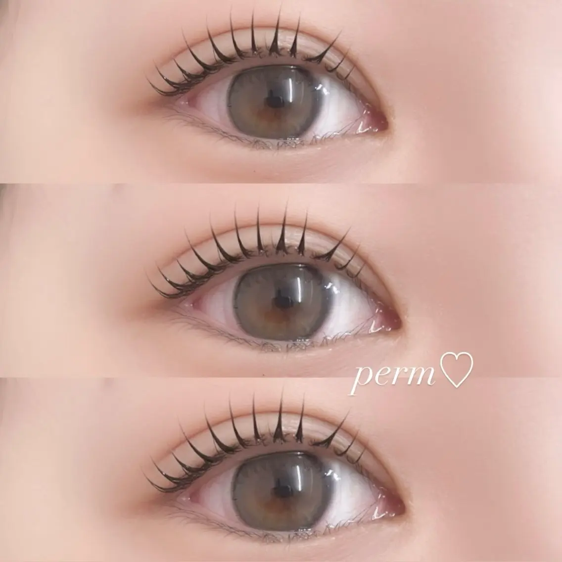 【人気No.2】束感まつ毛パーマ🎀(コーティング込)の写真