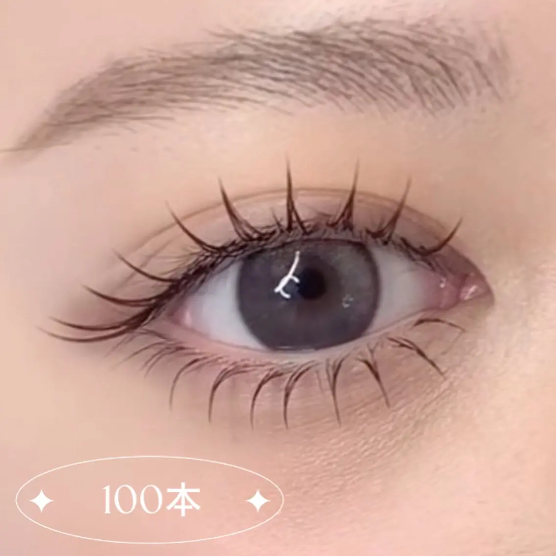 フラットラッシュ|100本の写真