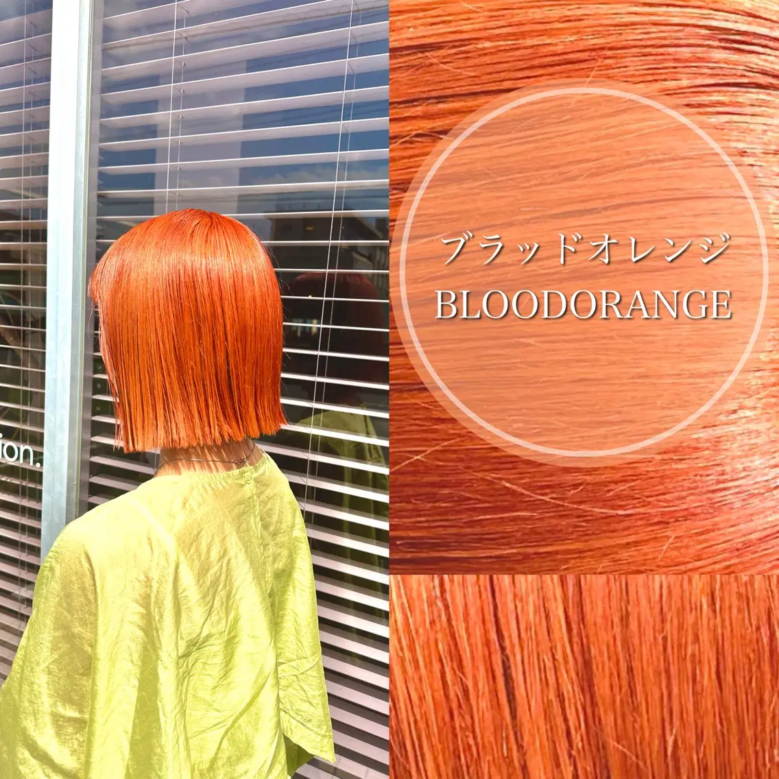 ショート カラー 三浦 悠のヘアスタイル