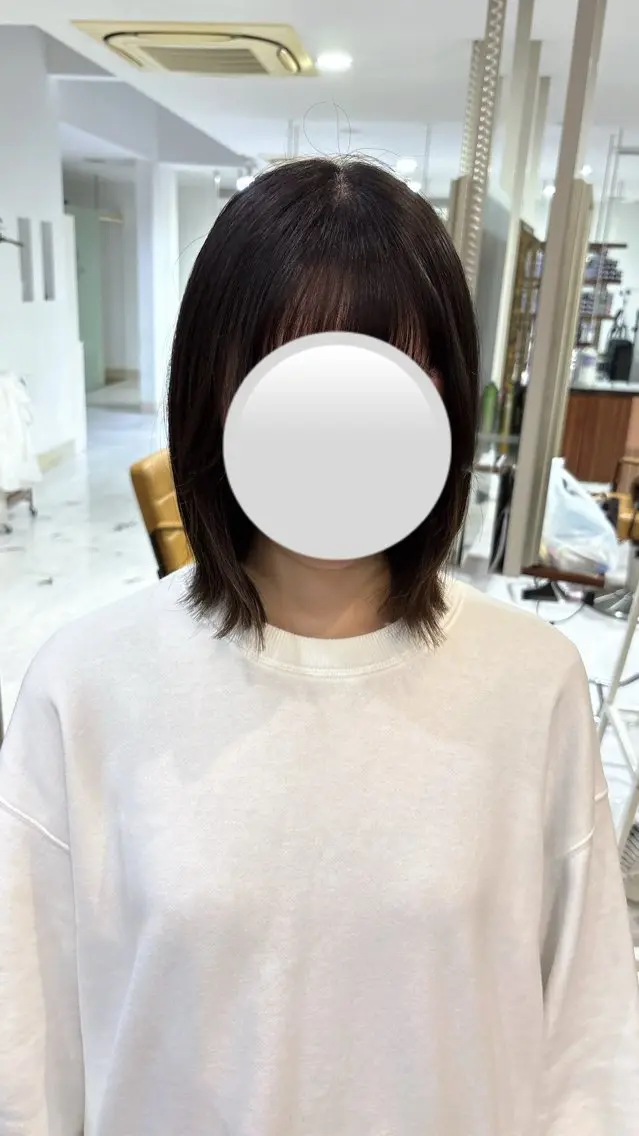 ボブの写真