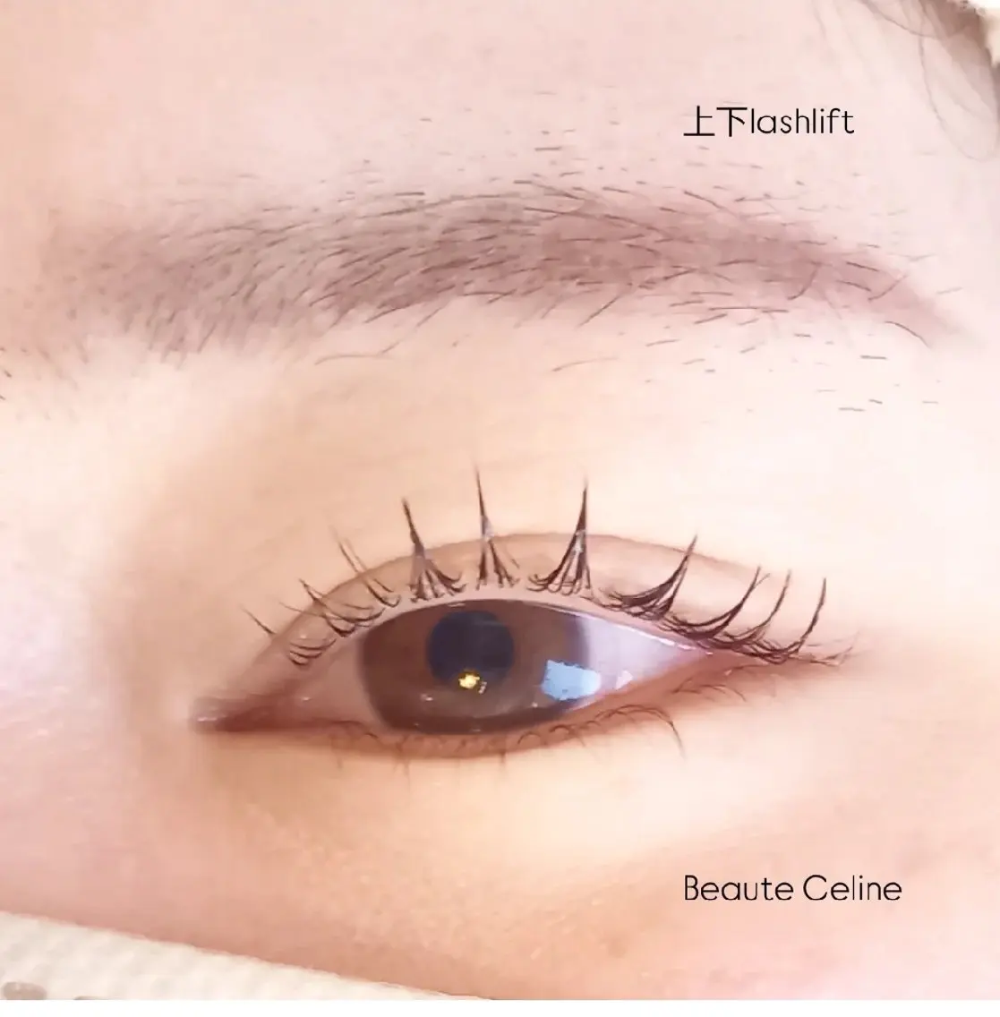 マツエク・マツパ マツパ LED✨beaute Celine🌛🌹のマツエク・マツパデザイン