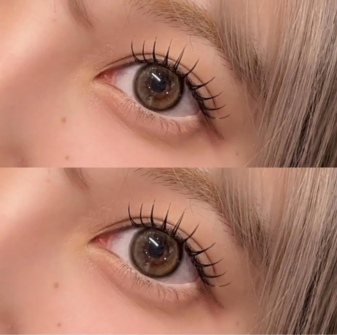 マツエク・マツパ 束感まつ毛 ナチュラル マツエク YUWA 【Taylor】のマツエク・マツパデザイン