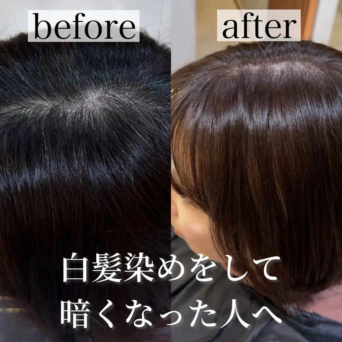 【✨白髪で迷ってる人限定✨】小顔補正カット+白髪改善カラー+高保湿トリートメント🫧の写真
