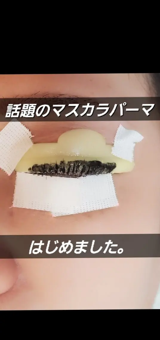 ご新規様限定📍マスカラパーマ🇰🇷まつ毛パーマ&ラッシュリフトお選びください。【パーマ後ティント塗布】の写真