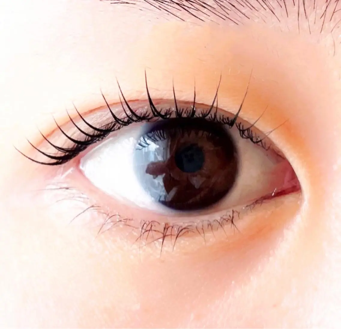 マツエク・マツパ マツパ Sally eyelashのマツエク・マツパデザイン