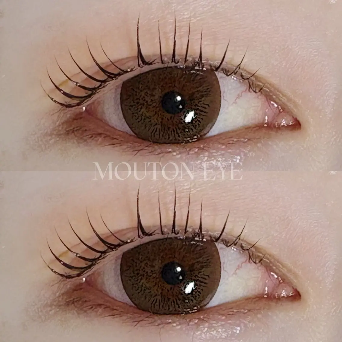 マツエク・マツパ mouton eye ウタカ🌻の眉毛・アイブロウイメージ
