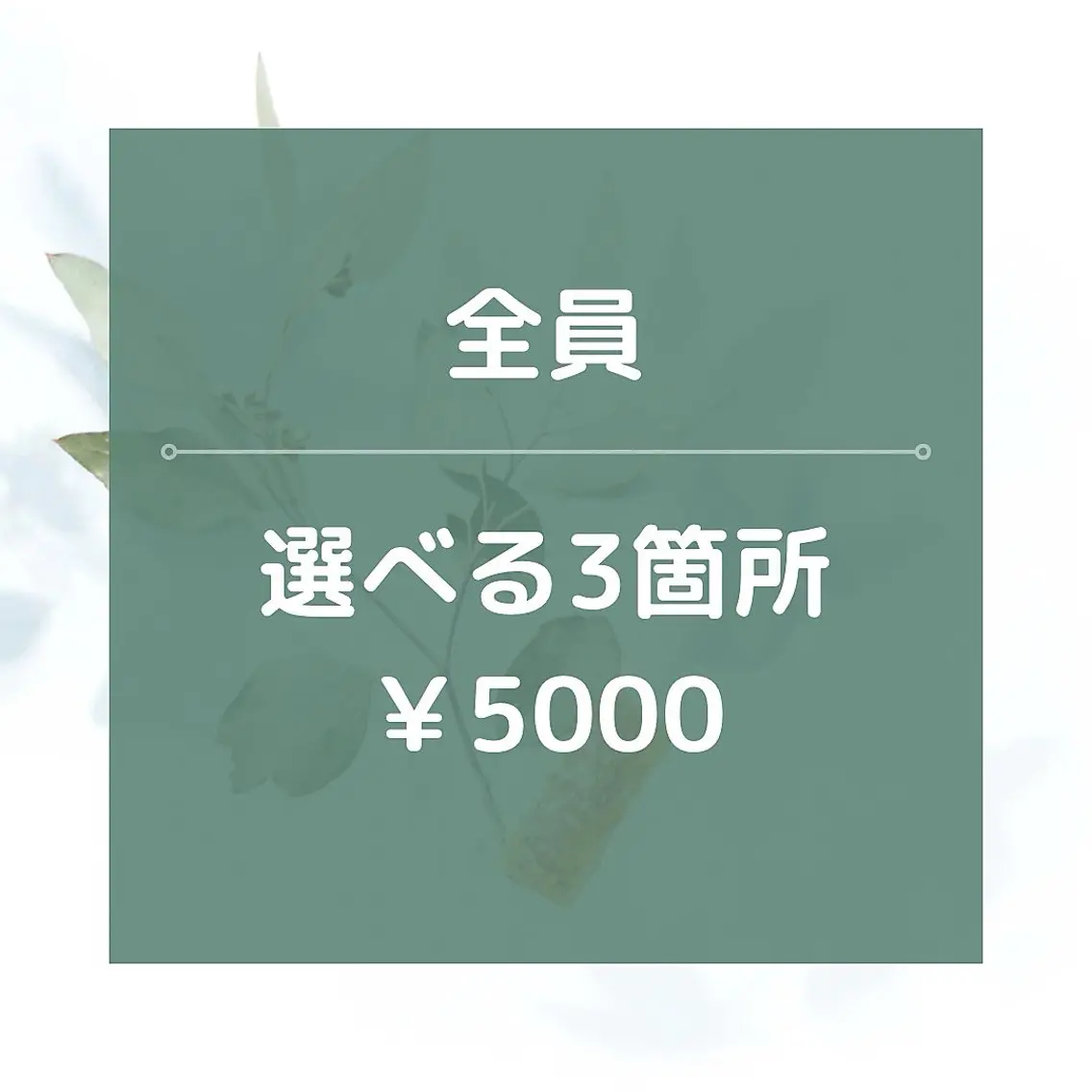 【男女OK】★☆選べる3カ所/¥5000☆★45分の写真