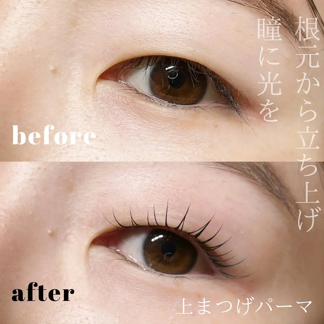 マツエク・マツパ 一重×まつ毛パーマ マツパ ボウ🪞ヘアセット /メイク/マツパのマツエク・マツパデザイン
