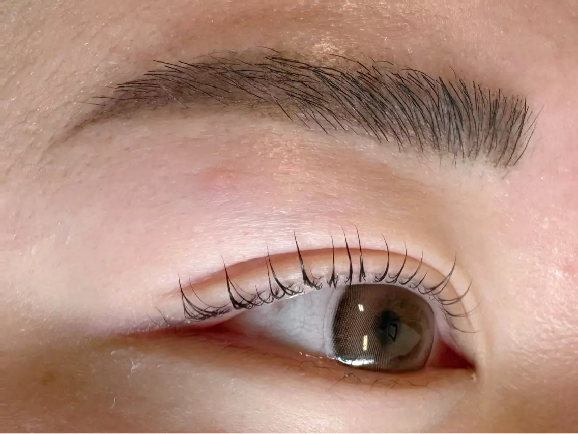 ［再来］ラッシュリフト& 美眉wax / 10000円の写真