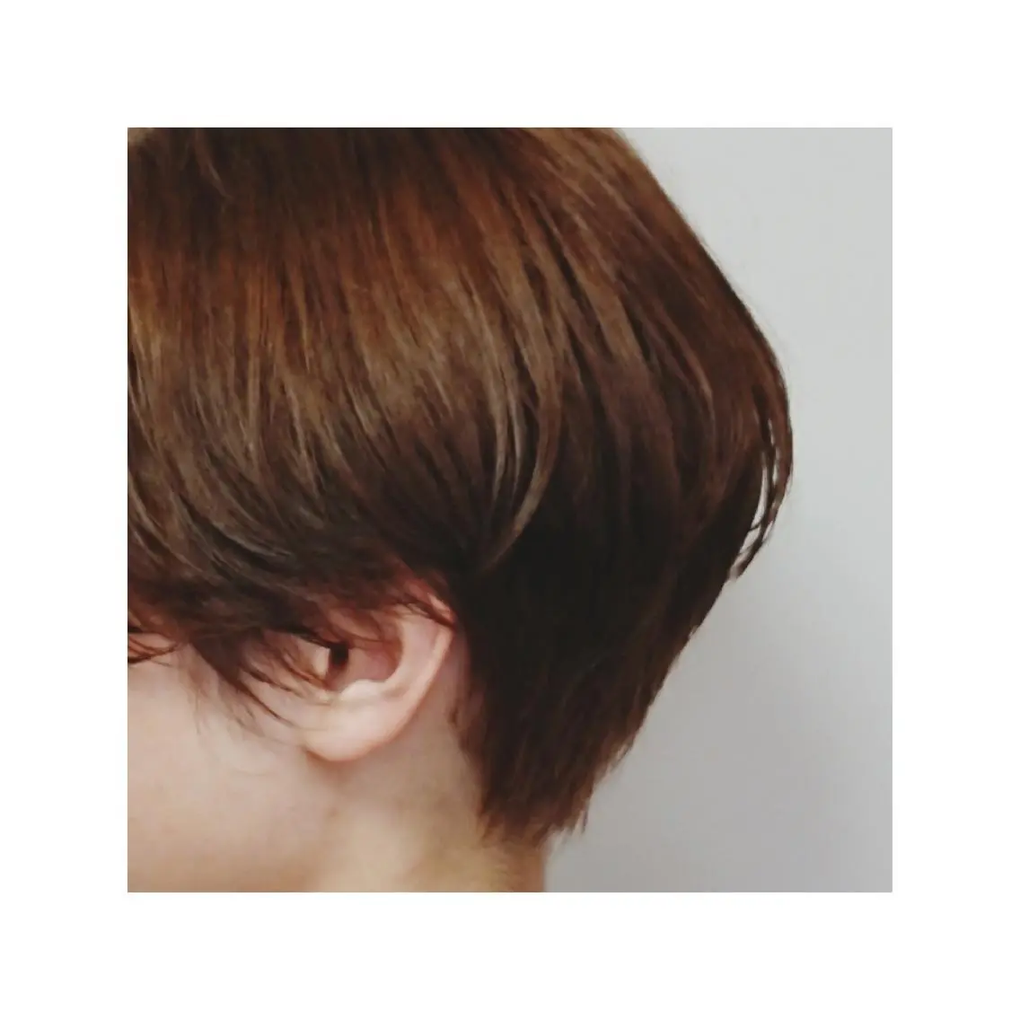 ショート カット ヘアカラー トリートメント SASAKI  MASAAKI のヘアスタイル