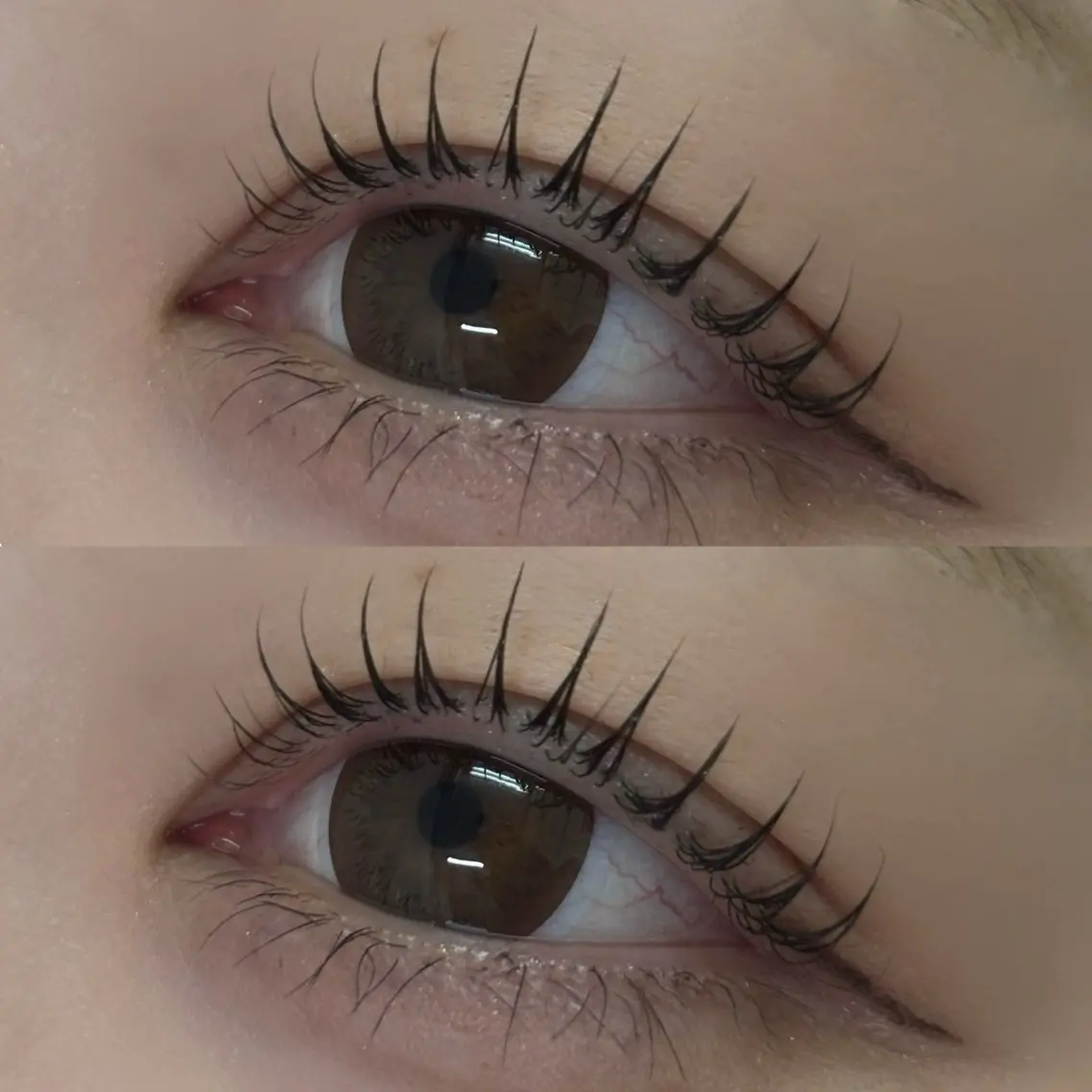 マツエク・マツパ ciera EYE 🤍sakiの眉毛・アイブロウイメージ